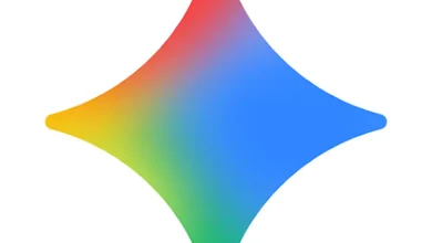 Gemini app